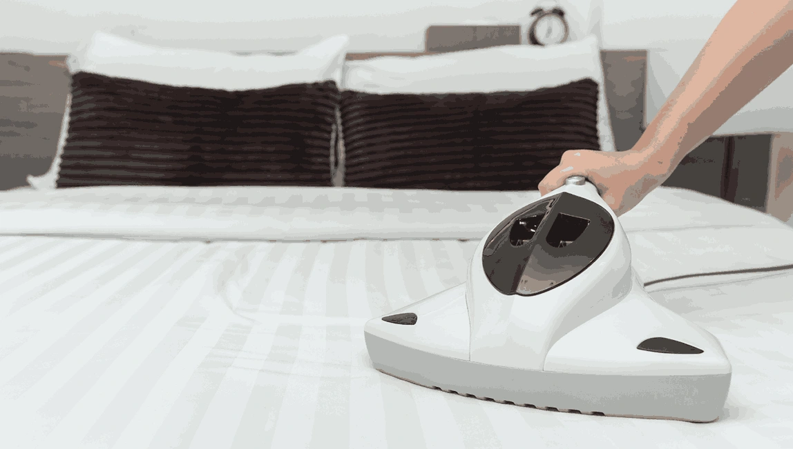 Professional Mattress Cleaning Launching Place